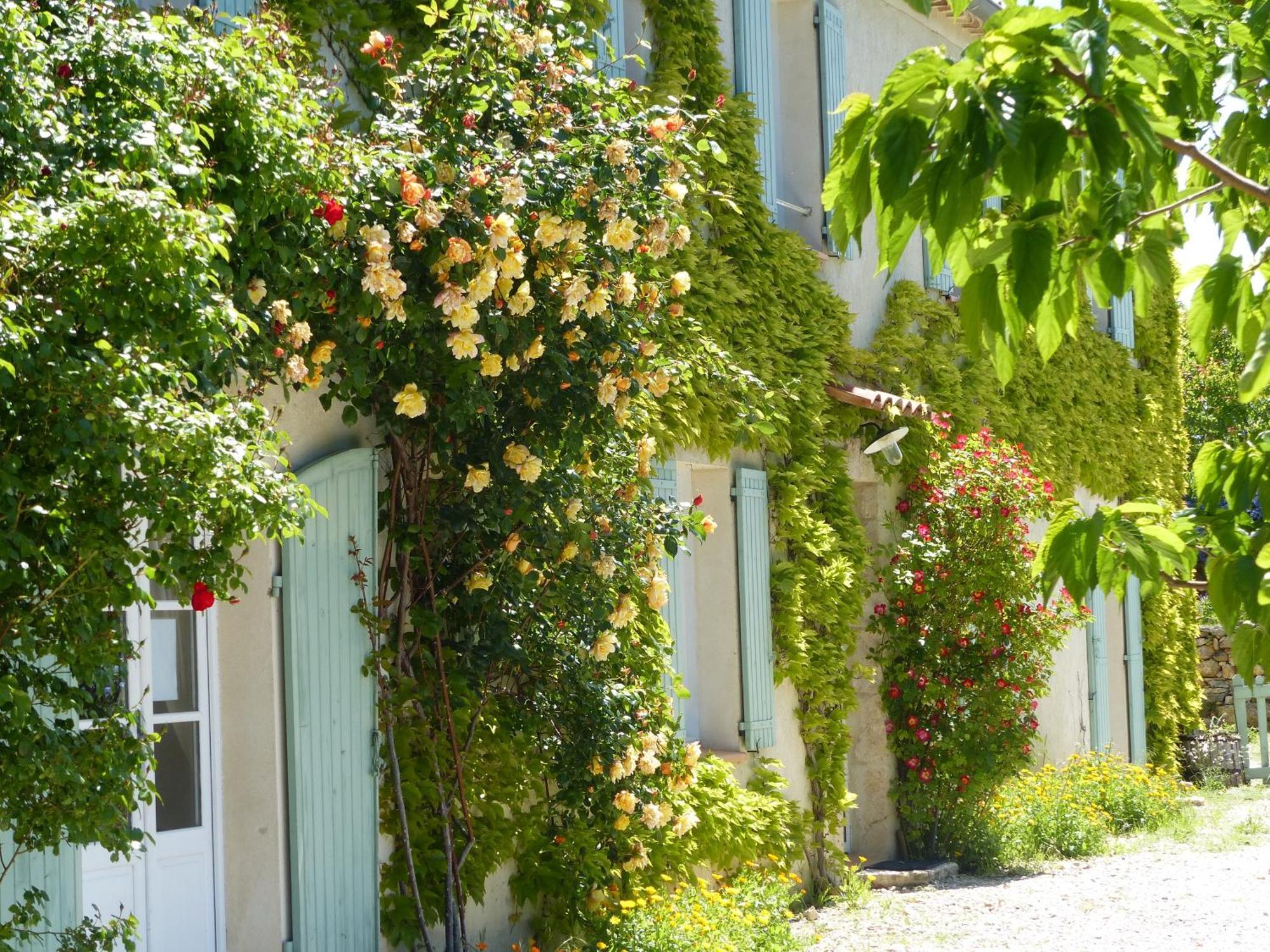 La Ferme Du Petit Segries Bed And Breakfast Moustiers-Sainte-Marie Pokoj fotografie