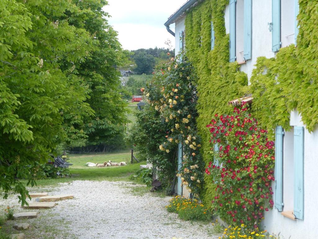 La Ferme Du Petit Segries Bed And Breakfast Moustiers-Sainte-Marie Exteriér fotografie